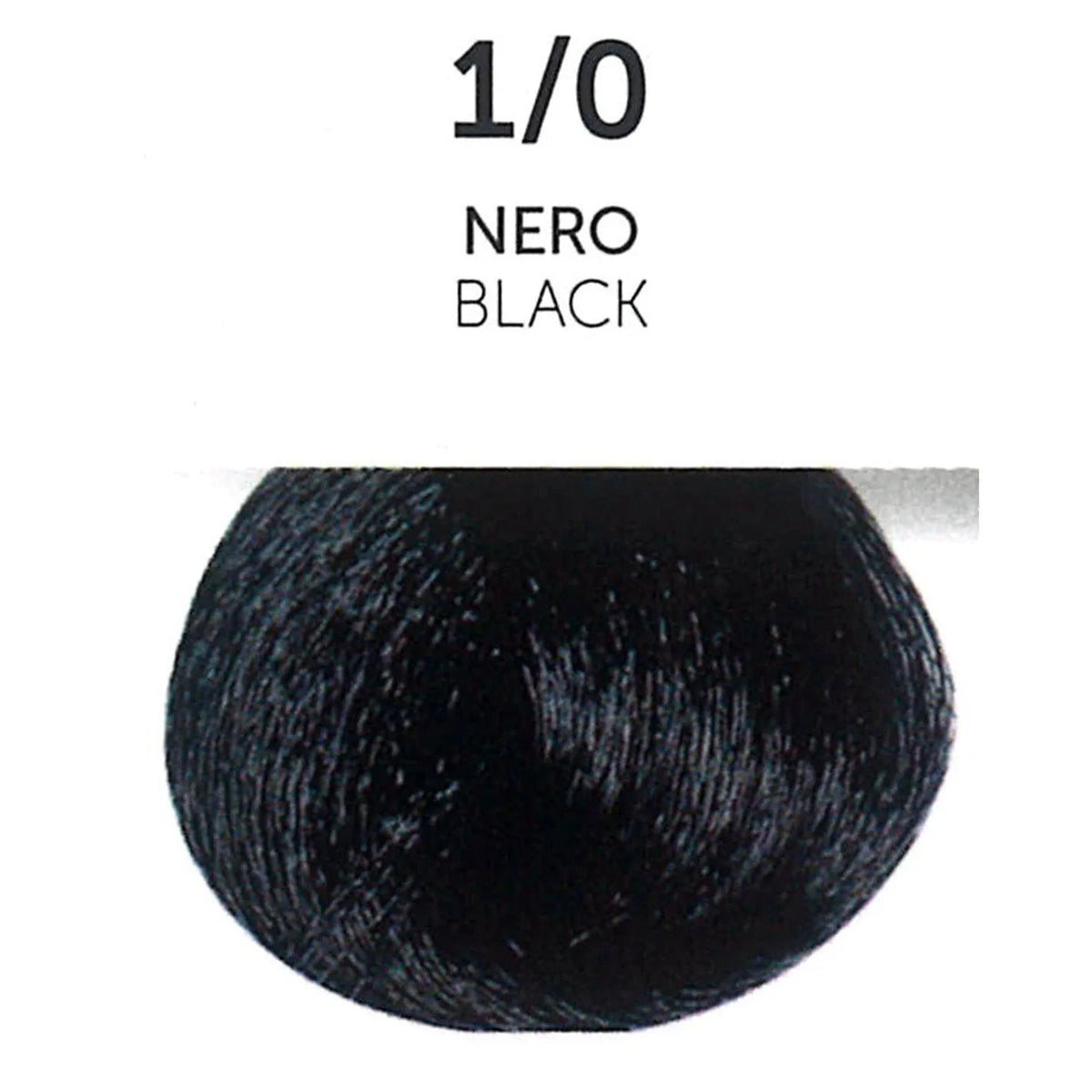 Oyster Perla Color - Natural