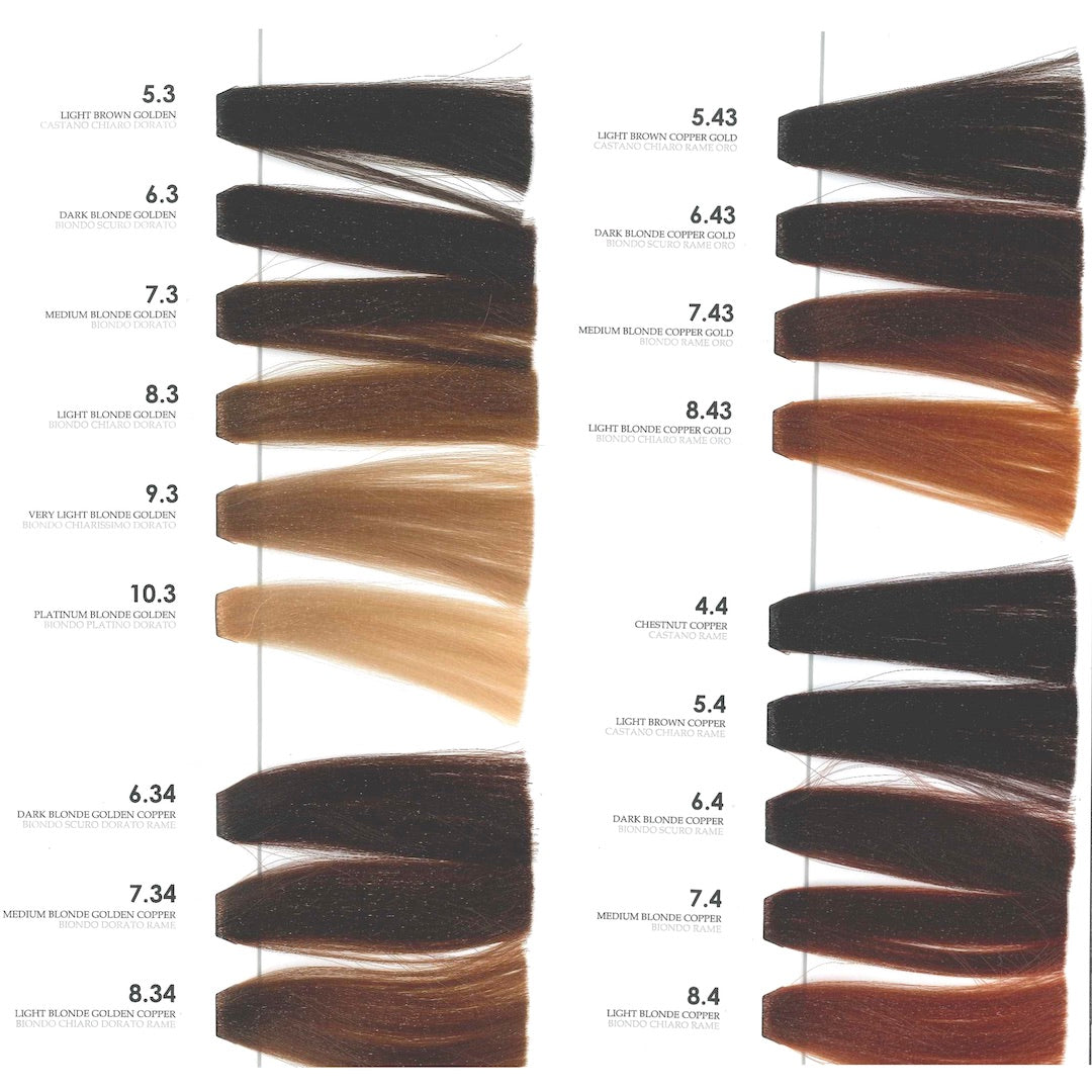 Tutto Swatch Book