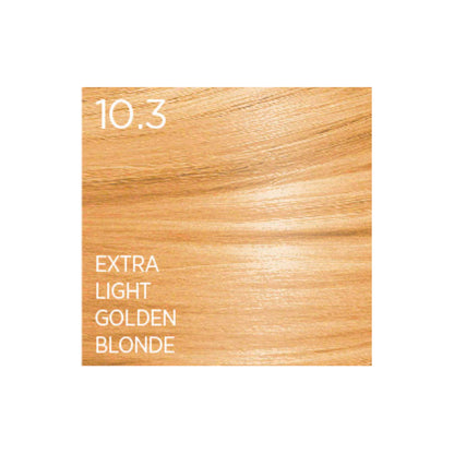 ASP Elixir / Infiniti Permanent Color (Regular Shades) - Level 10