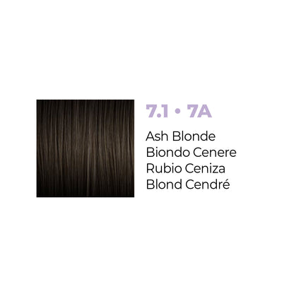 Mood Matters Rich Permanent Color ASH
