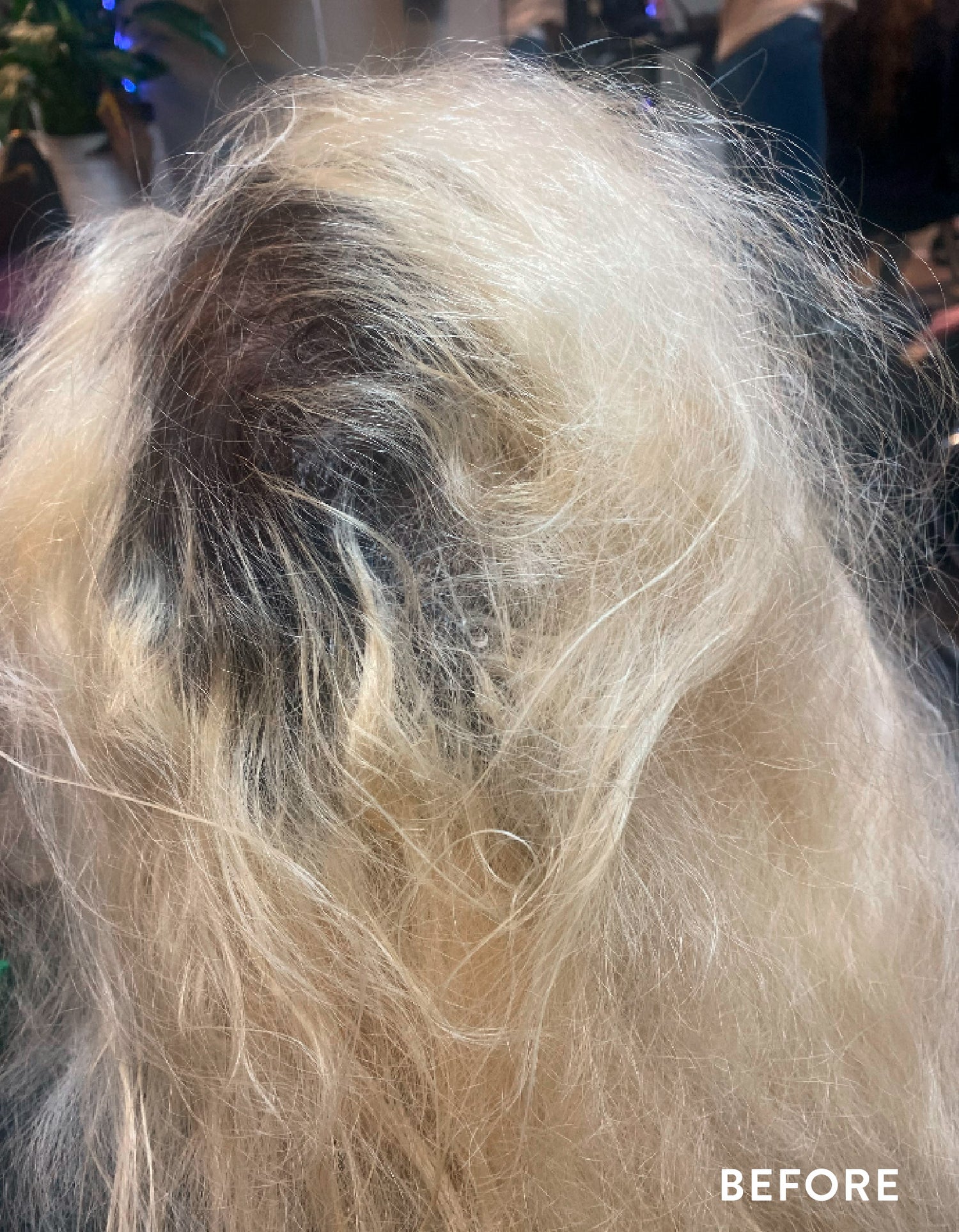 Spektralift Performance Enhancement Additive