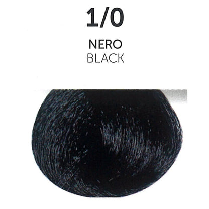 Oyster Perla Color - Natural