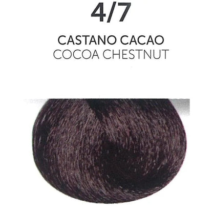 Oyster Perla Color - Cold Cocoa
