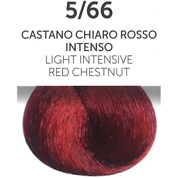 Oyster Perla Color - Red