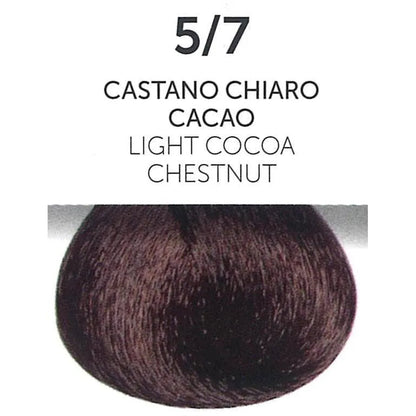 Oyster Perla Color - Cold Cocoa