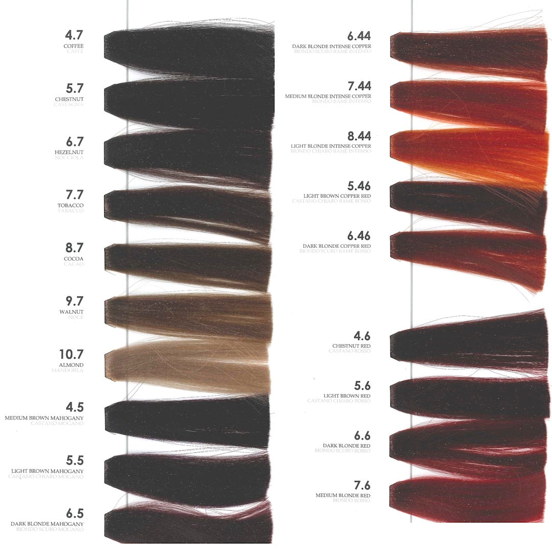 Tutto Swatch Book