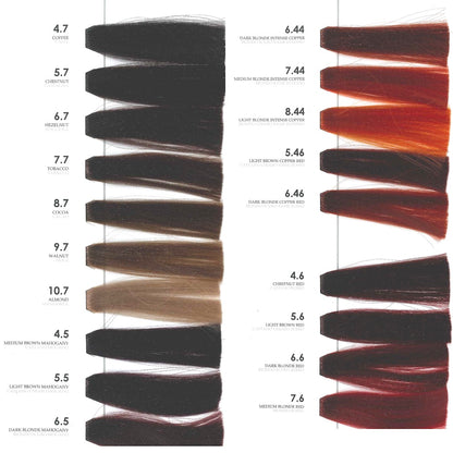 Tutto Swatch Book
